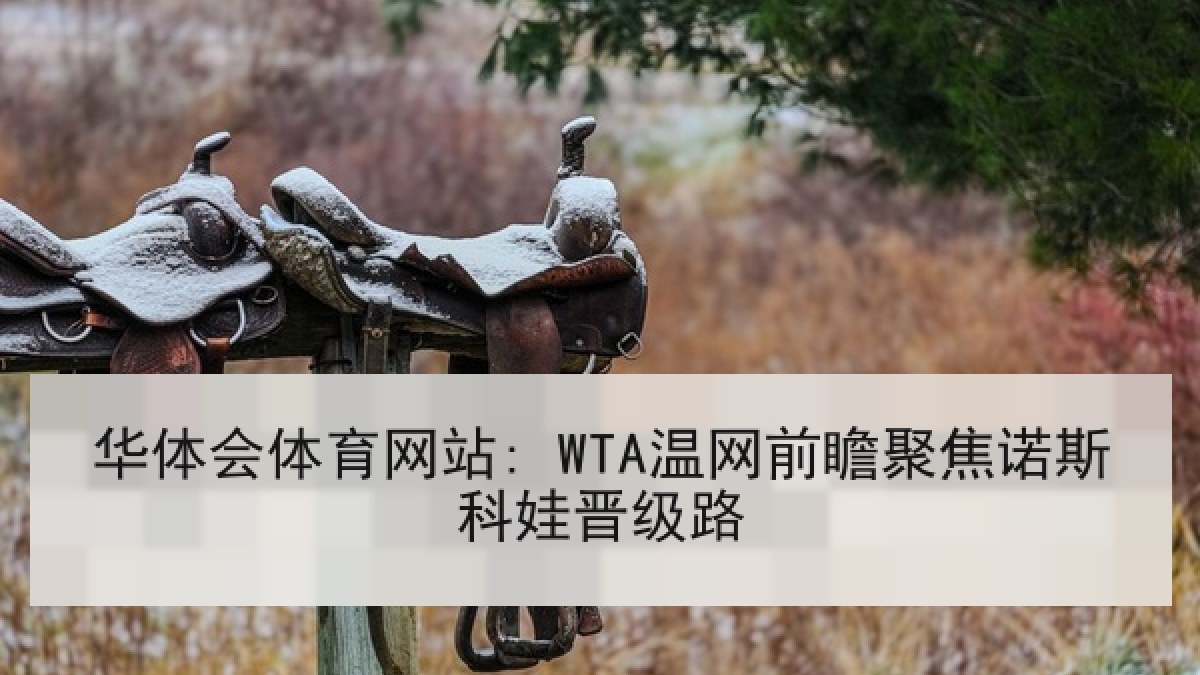 华体会体育网站: WTA温网前瞻聚焦诺斯科娃晋级路