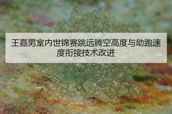 wang-jia-nan-shi-nei-shi-jin-sai-tiao-yuan-teng-kong-gao-du-yu-zhu-pao-su-du-xian-jie-ji-shu-gai-jin-2-868.jpg