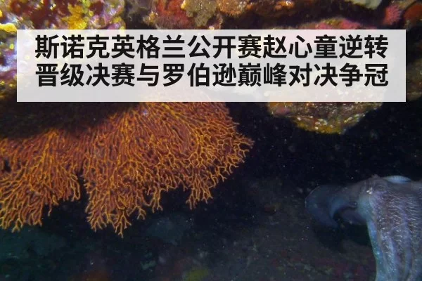 斯诺克英格兰公开赛赵心童逆转晋级决赛与罗伯逊巅峰对决争冠